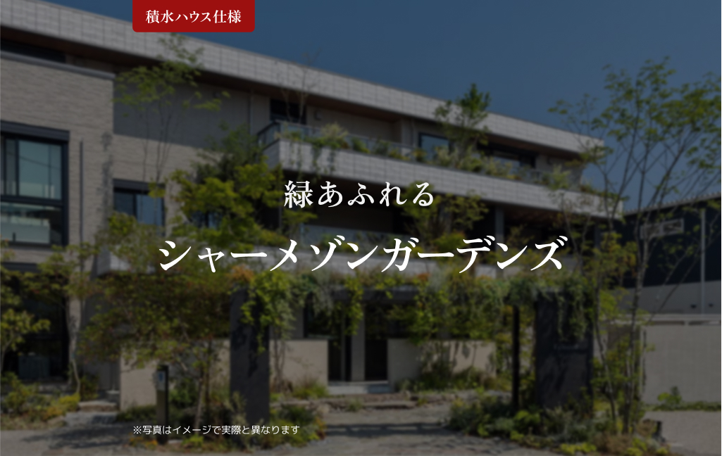 その他画像3
