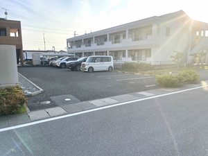 シャーメゾンコートK 0211号-11
