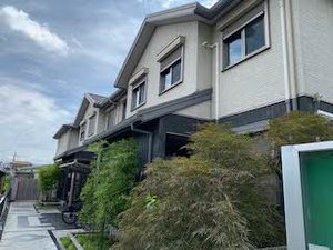 シャーメゾンひまわり 0101号-12