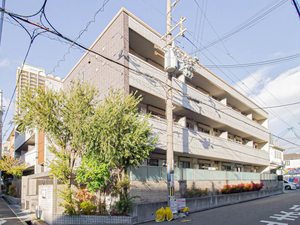 シャーメゾン住吉 0203号-2
