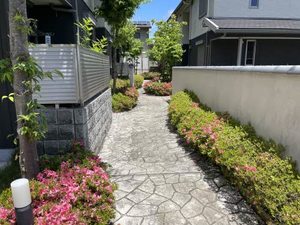 シャーメゾン　ＵＮ 0102号-15