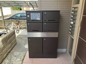 トップコート 0205号-2