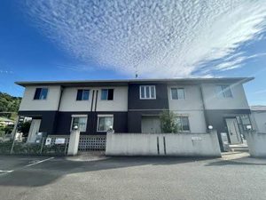 ラヴィーヌ 0201号-15