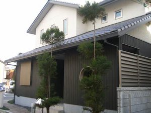 シャーメゾン高新・嵯峨野 0201号-1