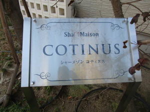 シャーメゾン　コティヌス 0201号-12