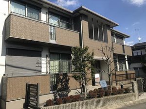 セレーノ 0201号-1