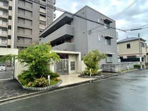 シャーメゾン　メルヴィーユ 0207号-3