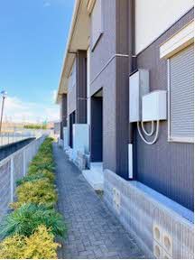 シュシュ　しらかし 0202号-14