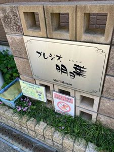 プレジオ 明日葉 0201号-2