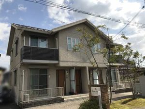 ローザ　レガーロ