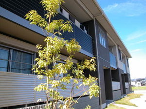 シャーメゾンＣｏＣｏ