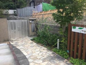 Ｇｒｅｅｎ　Ｆｏｒｅｓｔ　芦屋 0302号-3