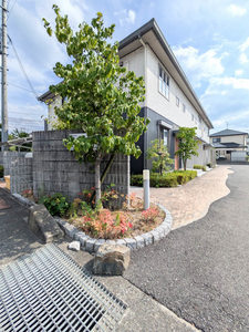 シャーメゾン MIZUKI 0202号-13