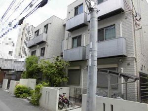 Ｓｔｅｌｌａ　Ｖｉｔａ（ステラ　ビータ）