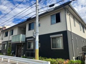 クローバーズ　クラウン 0101号-1