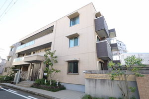 ｖｉｎｃｕｌｕｍ　ＵＫ 0202号-1