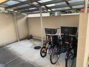 グラシア　エテルナ 0201号-15