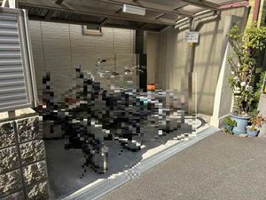 シャーメゾン　リリー 0102号-3