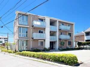 ベレオ　ＩＷＡＨＡＴＡ 0203号-1