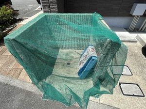 Ｆ‐ｇｅｎｉａｌ　Ⅰｔａｍｉ（エフ　ジーニアル　イタミ） 0201号-4