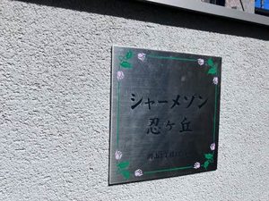 シャーメゾン忍ヶ丘 0202号-13
