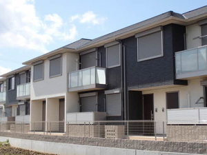 ウェントゥス　ノヴァ