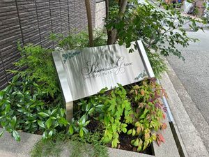 シャーメゾン グレイス 0302号-5