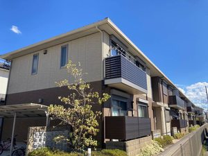 シャーメゾン二階堂 0101号-1