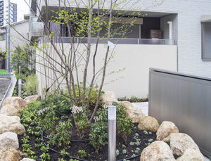 ＳｈａＭａｉｓｏｎ　ＮＯＡ　Ⅰ A302号-4