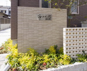 シャーメゾン彩　Ⅲ号館 0102号-2