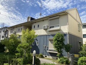 リベール藤 0103号-1