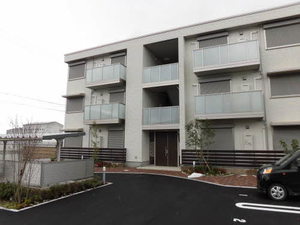 エバーグリーン