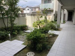 シャーメゾンけやき通り 0208号-14