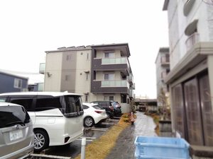 シャーメゾン　モデルノ 0102号-1