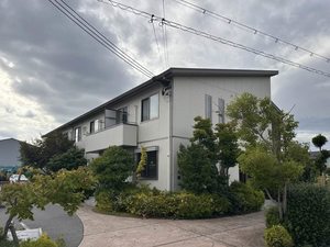 ショコラ ブラン 0203号-15