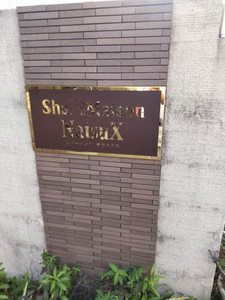 シャーメゾン　ナツエクス 0203号-3