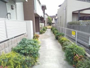 フィオーレ 0205号-15