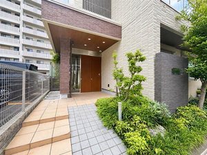 SMH瑞光 0203号-12