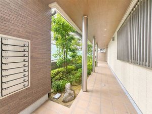 SMH瑞光 0203号-14