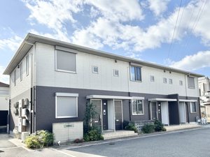 カンパニュラ 0201号-1