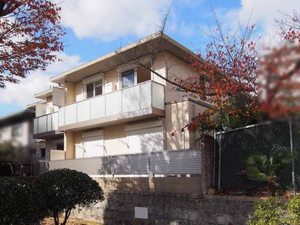 ｃｈａｍｐ　ｄｅ　ｆｌｅｕｒｓ　打出小槌