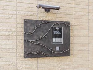 パトリビアンコ 0303号-5