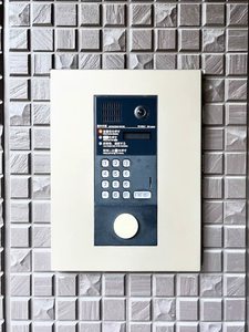 ｊｕｎａ B313号-15