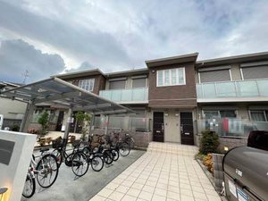 Ｓｈａｍａｉｓｏｎ＋Ｗｅｌｌ