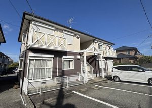 ハイツカンファーツリー