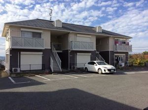 ハイツカンファーツリー