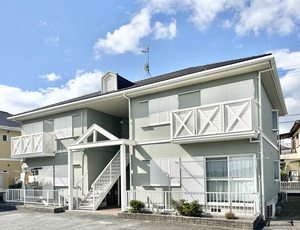 ハイツ南条 0203号-1