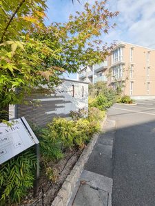 カームアングル