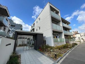 シャーメゾン　クッカコルメ 0203号-1