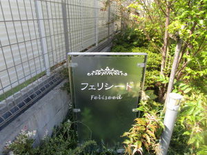 フェリシード 0102号-4